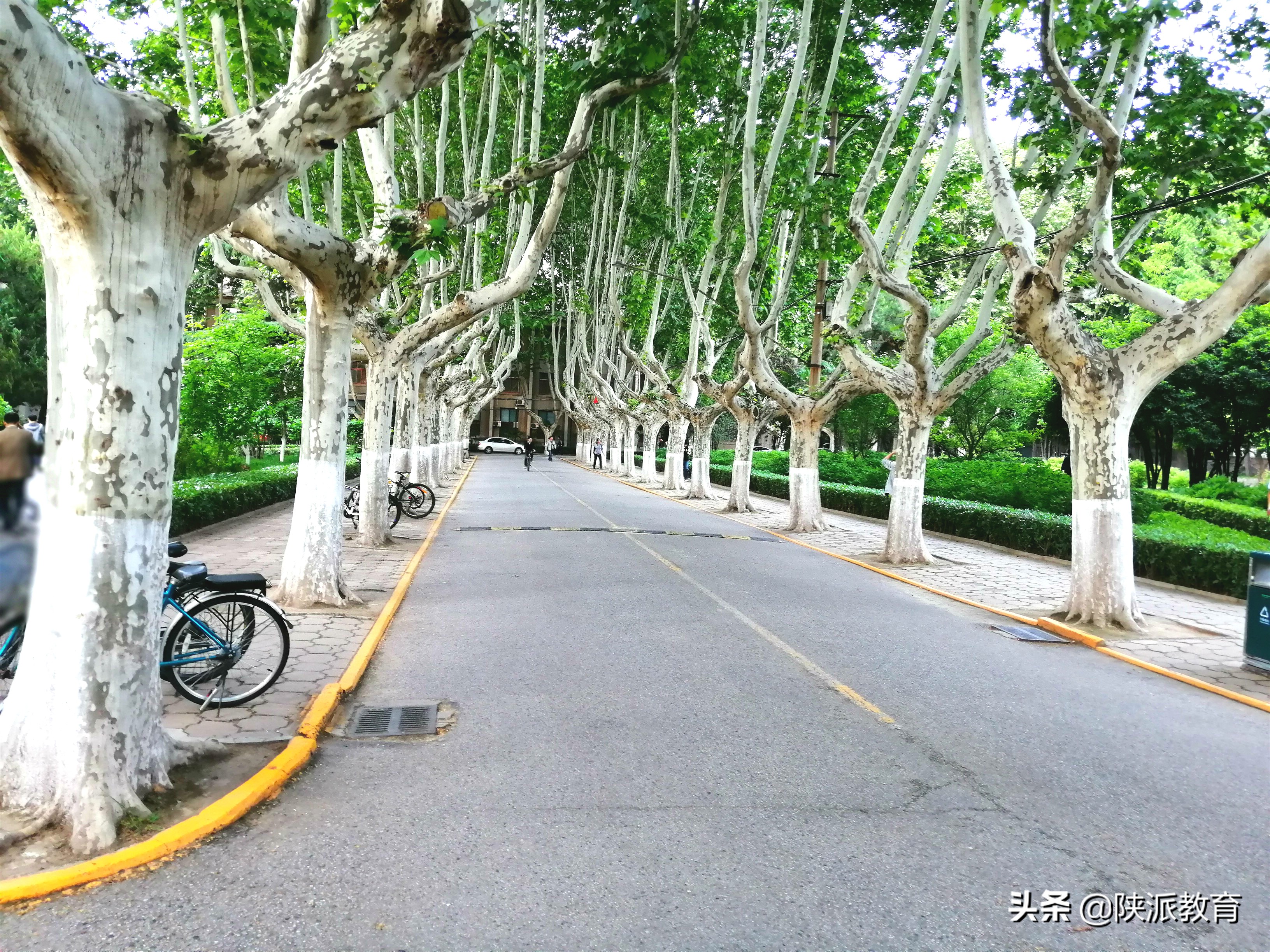 当青春遇上思政 | 西安交通大学：思政课为青春赋能