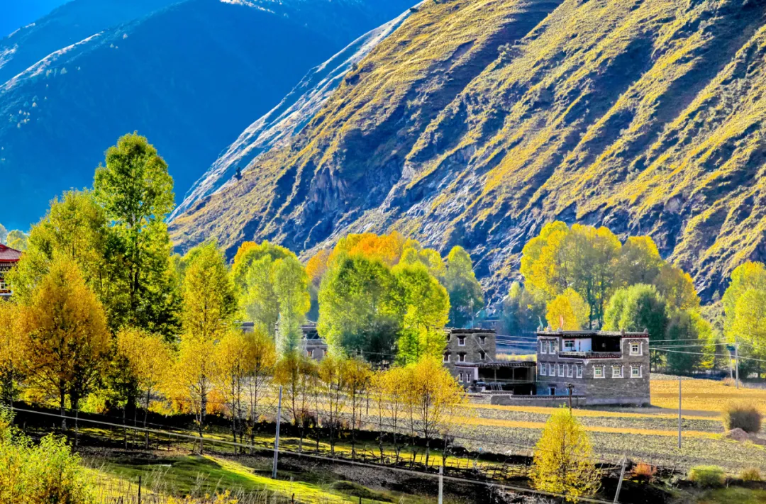 解锁极致风景,畅游最美318,从这里开始!