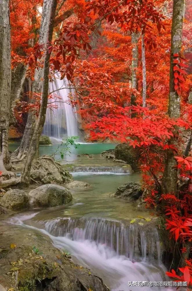 民族政策优势之一:部分重点大学民族班同普通录取分数比较分析