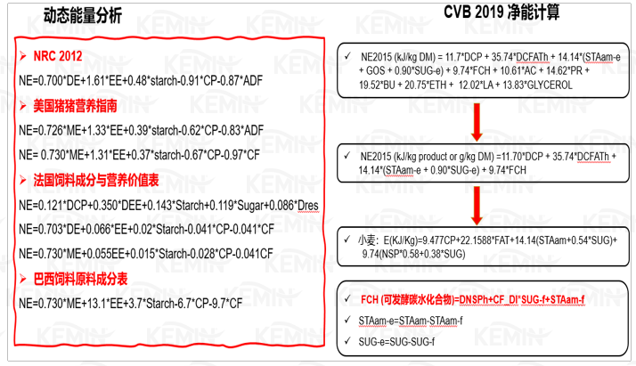 玉米替代的关键点及推荐方案