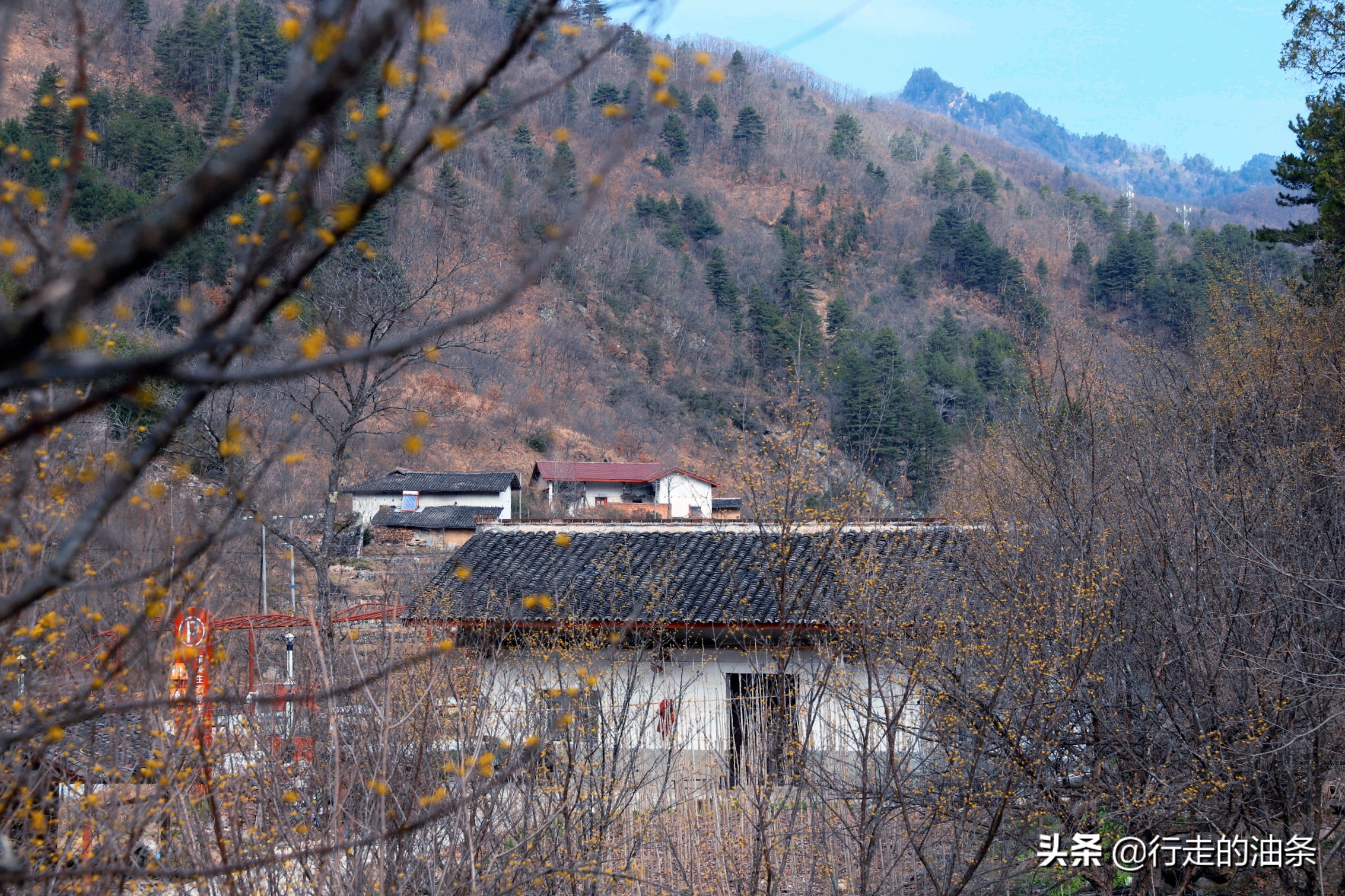 那时,佛坪县城原本位于现在周至县的佛爷坪,周县长慧