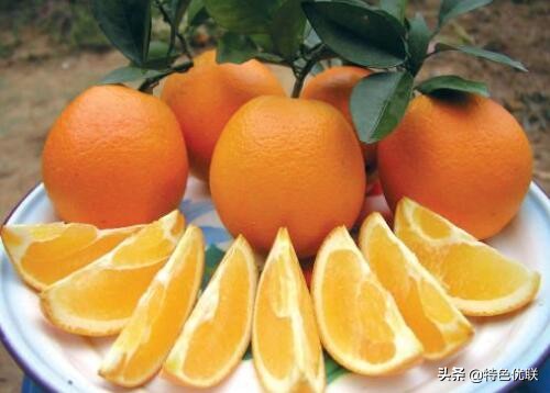 四川凉山十大特产