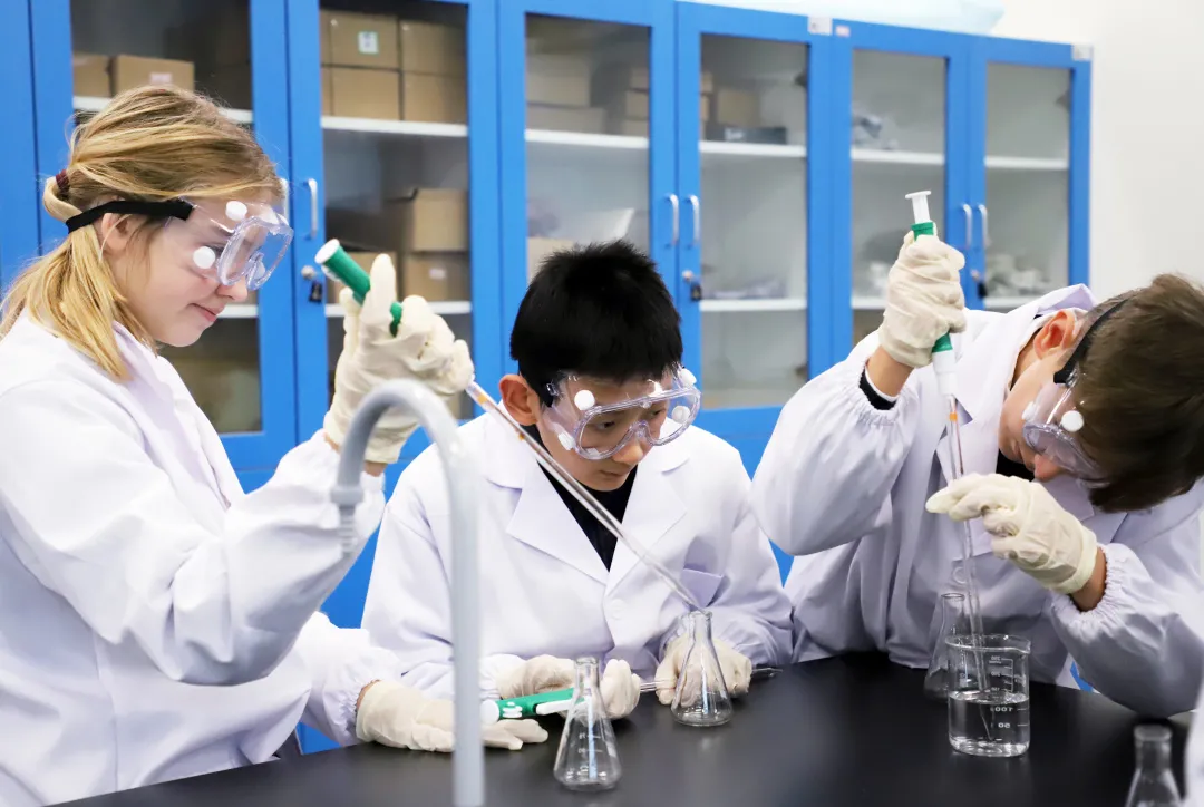 学生视角丨杭州国际学校就读体验分享