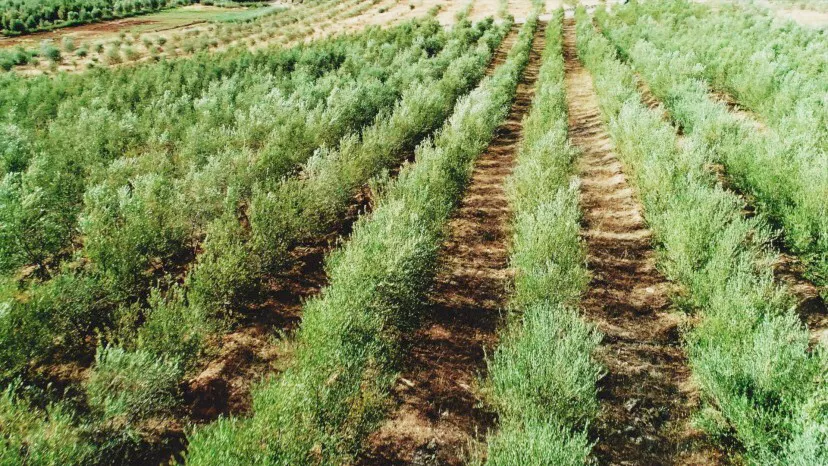 《上新吧!山川湖海》开播 世界美食走近「寻常百姓」