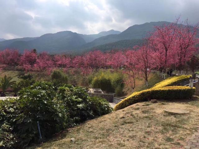 理大：大理最高学府，大理大学及周边景点吃住行游购娱攻略