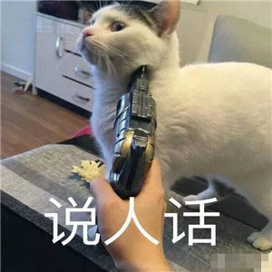 猫咪表情包：忘了他吧，我卖萌养你