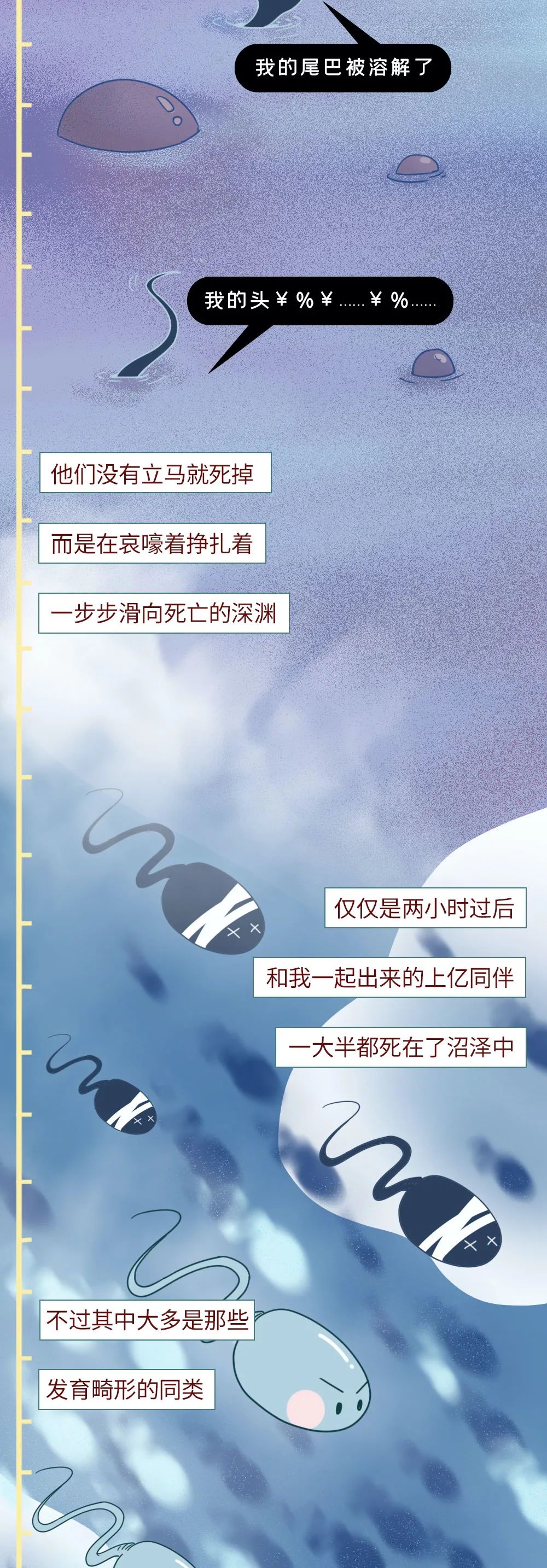 精子进入体内的24小时