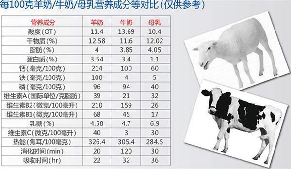 辟谣：宝宝都能喝的牛奶小猫却不能喝？对它好还是害了它？