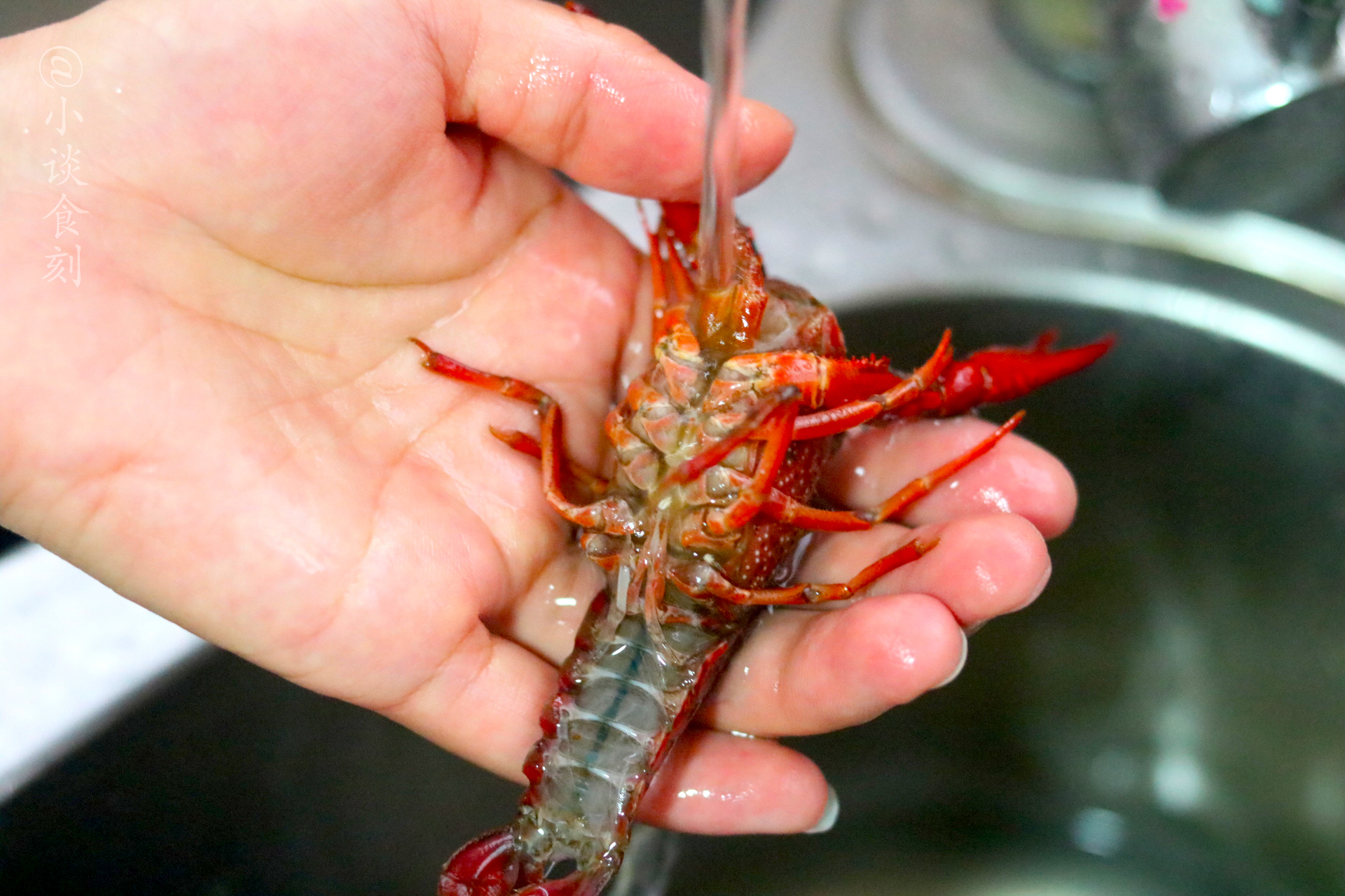 龙虾咋洗干净?"一冲二刷三放"很关键,学习以后,再洗更轻松