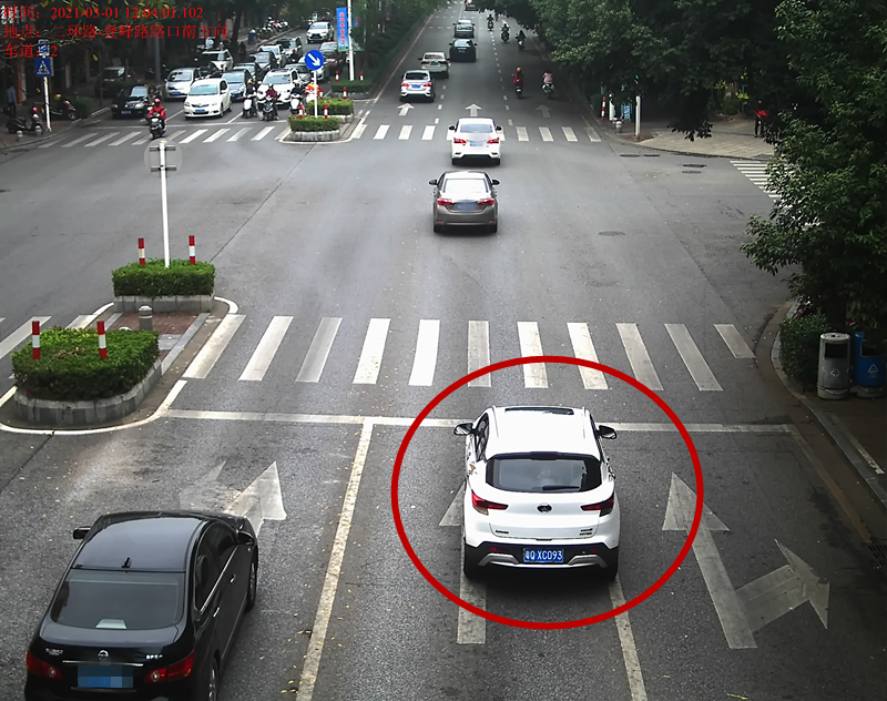 交通违法曝光！
