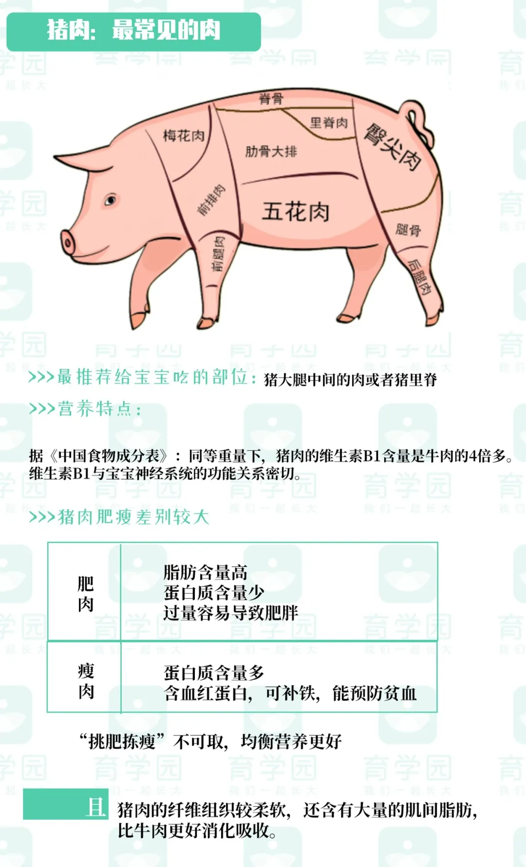 宝宝多大可以吃肉？什么肉最有营养？看这篇就够了