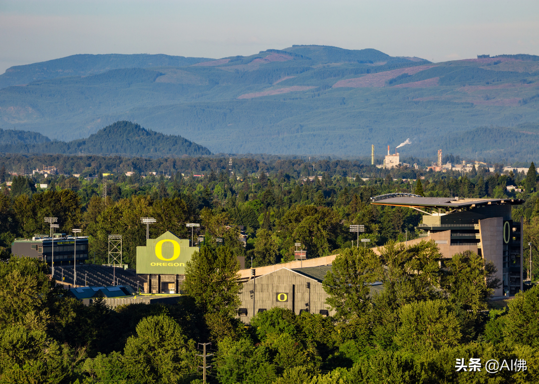 美国最自由的公立大学