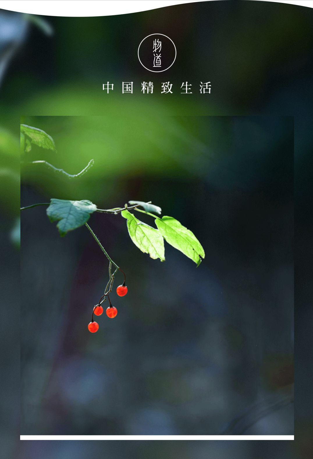 蒽的读音及谷雨时节的诗意表达

或者：

谷雨时节蒽字读音解析