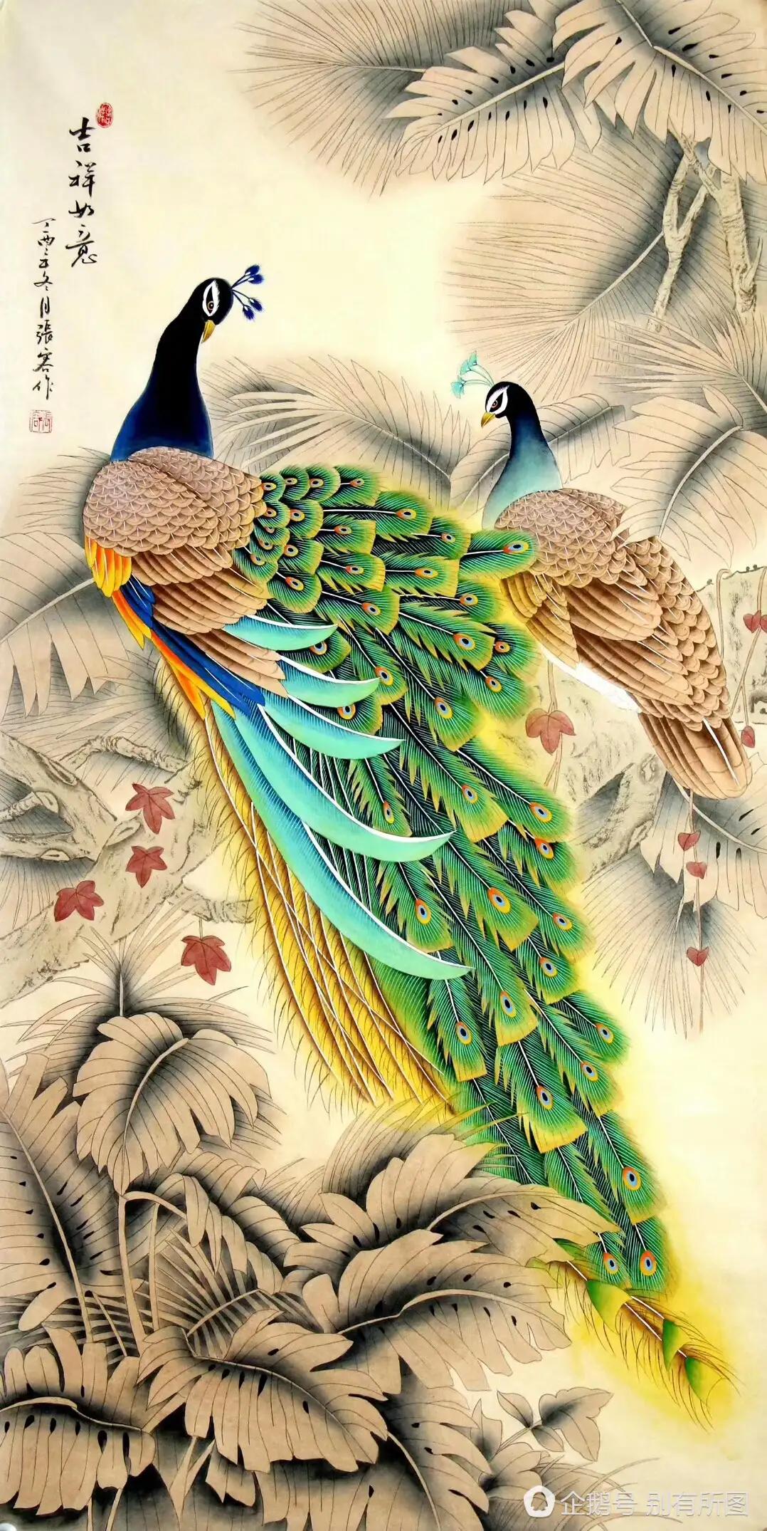 孔雀东南飞！高贵、冷艳的白孔雀