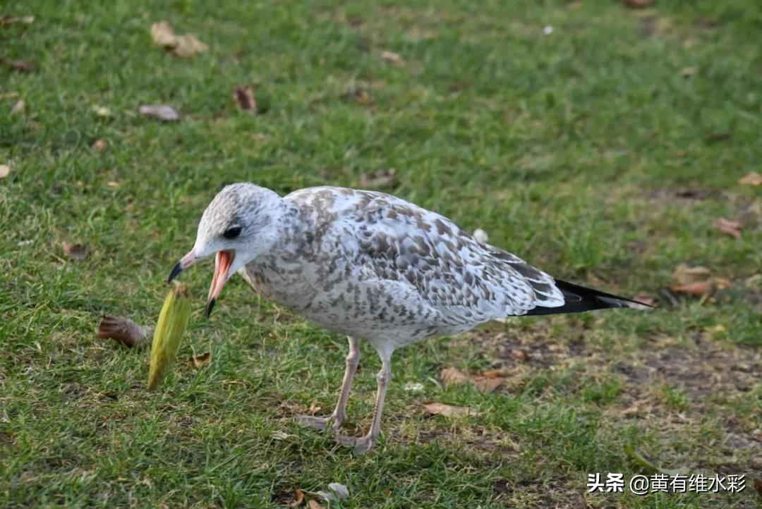 用一杯咖啡的时间，领悟自然之美