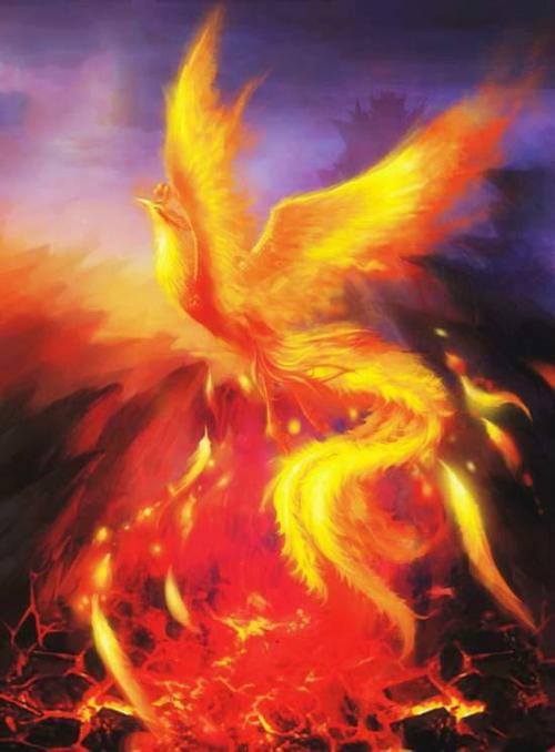 西方人的"凤凰",什么时候学会了"浴火重生"?