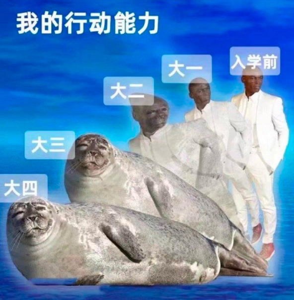 当代大学生“进化史”，从大一到大四逐层蜕变，网友笑呼真实