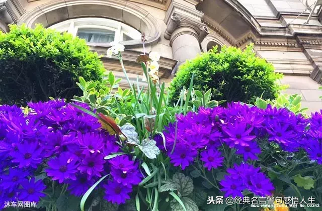 亲情,永远最重要