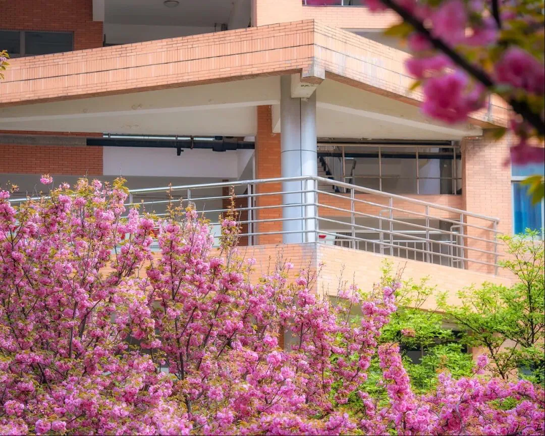 在陕西省西安中学求学是怎样的体验（一）