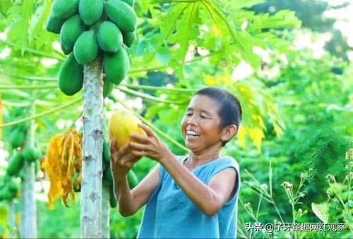 康仔农人：广西半百袖珍老人，他凭什么半年涨粉近千万？