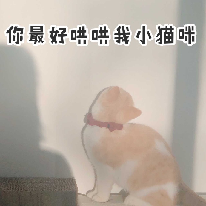 表情包：这个时候，溜就对了