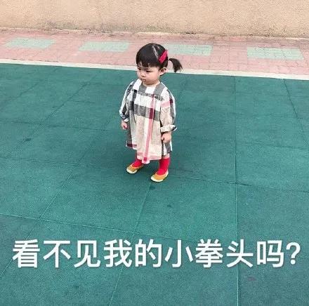 表情包：今天还是先不减肥了吧