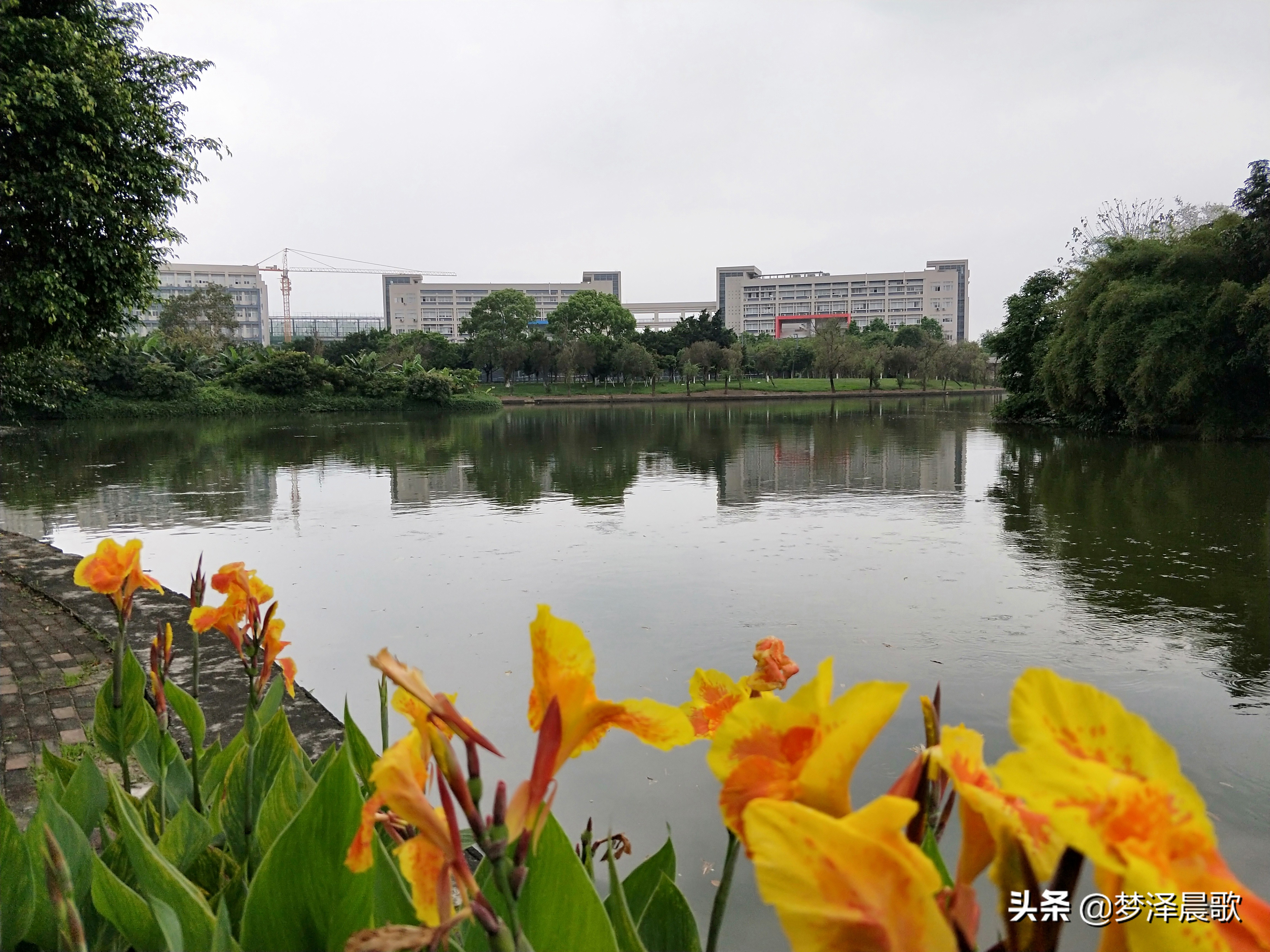 广州大学大学城校区(美丽校园广州大学)