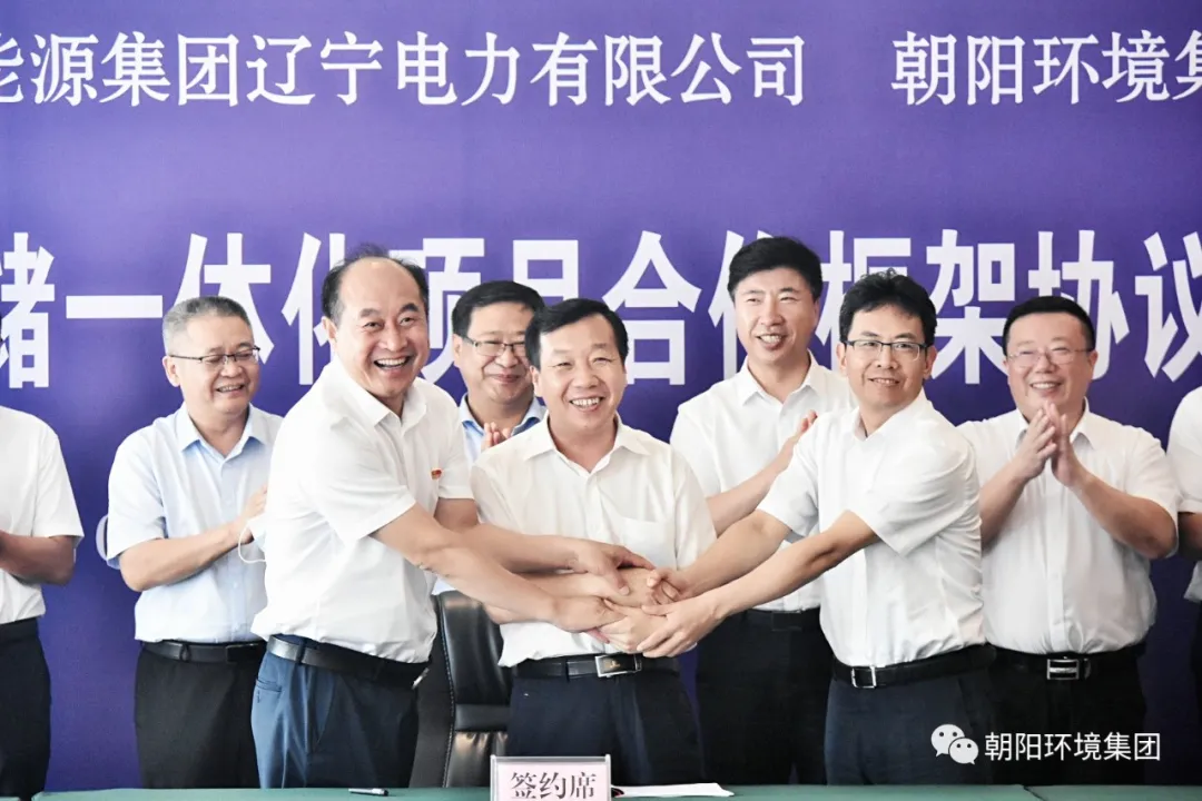 辽宁国能集团,辽宁国能集团(控股)股份有限公司