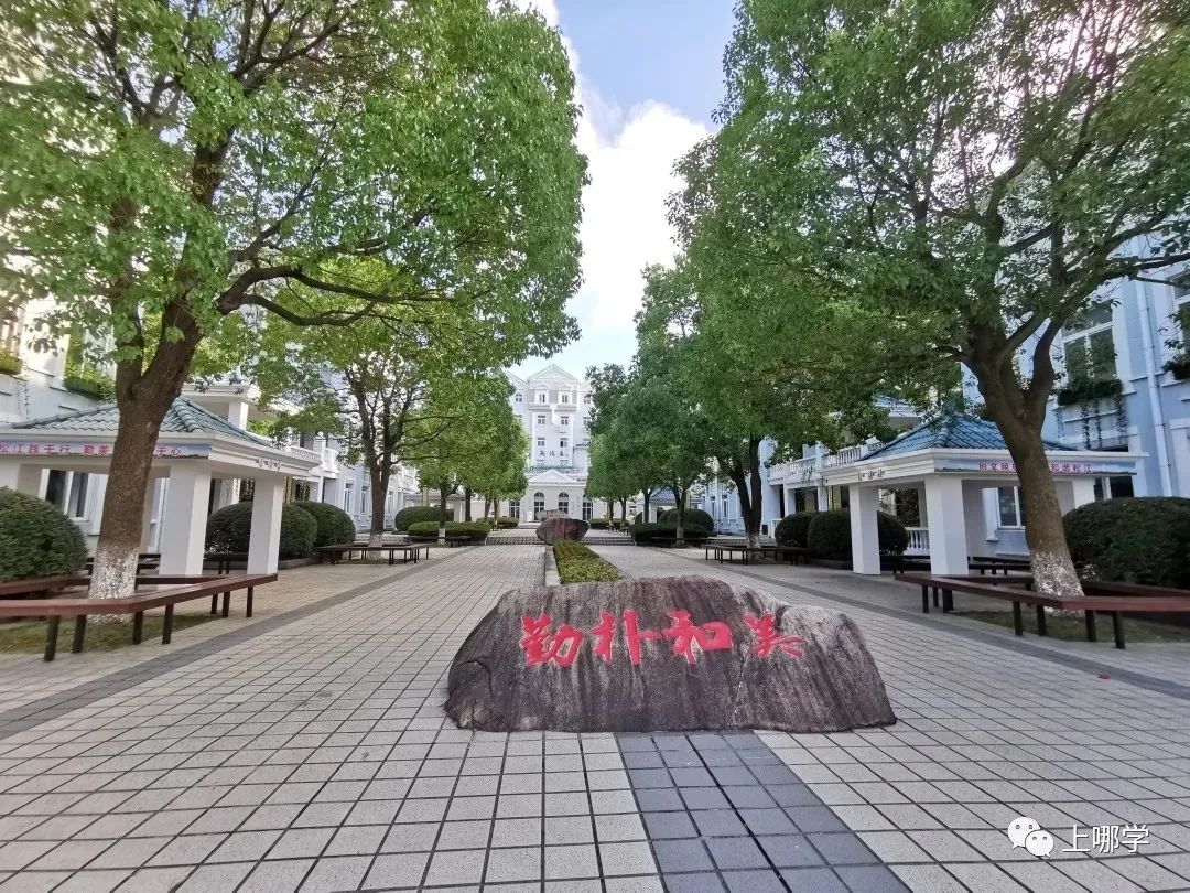 怒赞！2021上海16区新建那么多好学校，今年9月首次招生