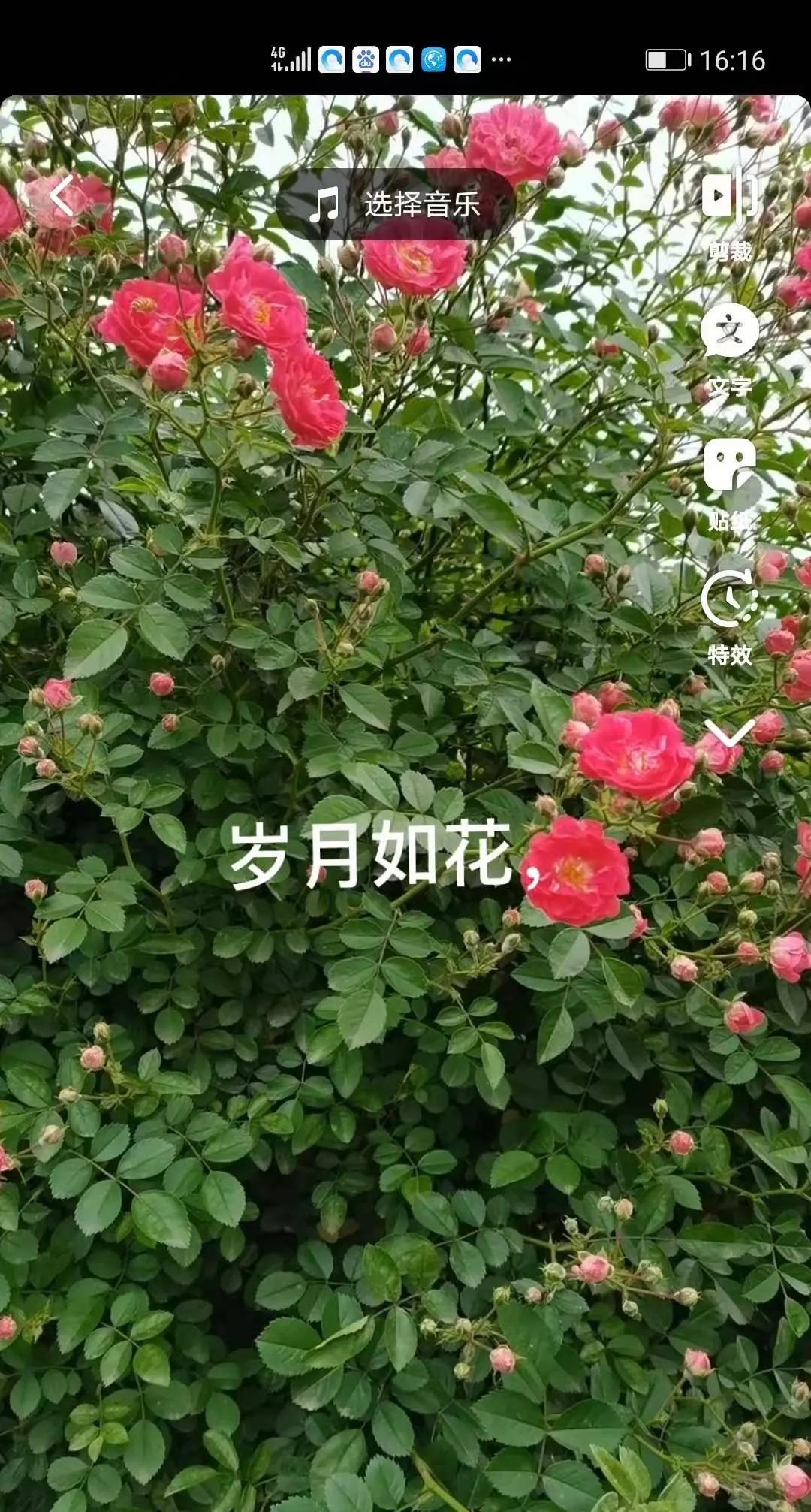 抖音上传视频怎么配字（抖音添加文字的操作）