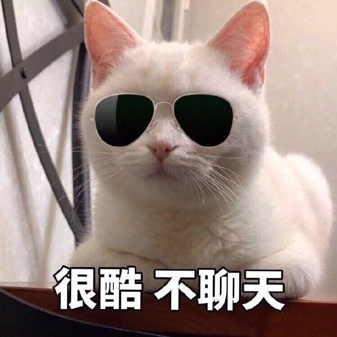 可爱的猫咪表情包合集｜哥哥，出来玩吗