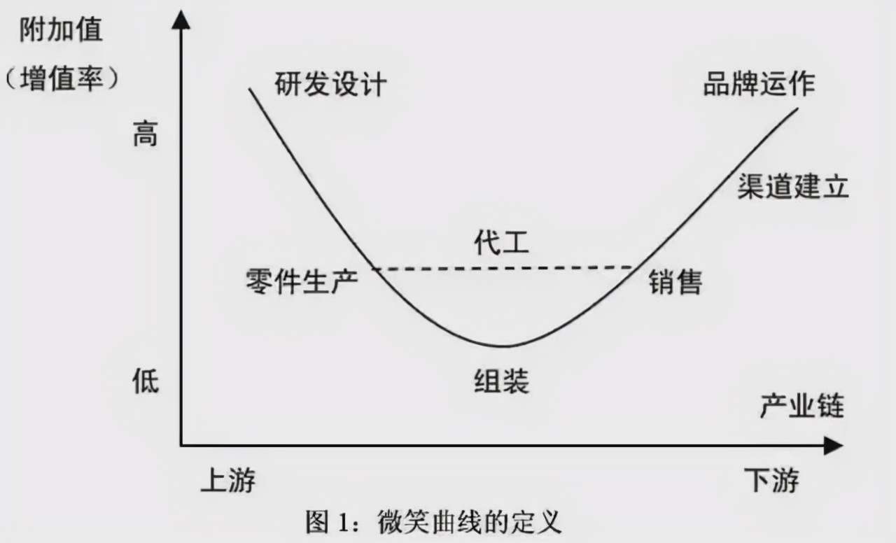 星空行研︱培育钻石，业绩也闪光吗？