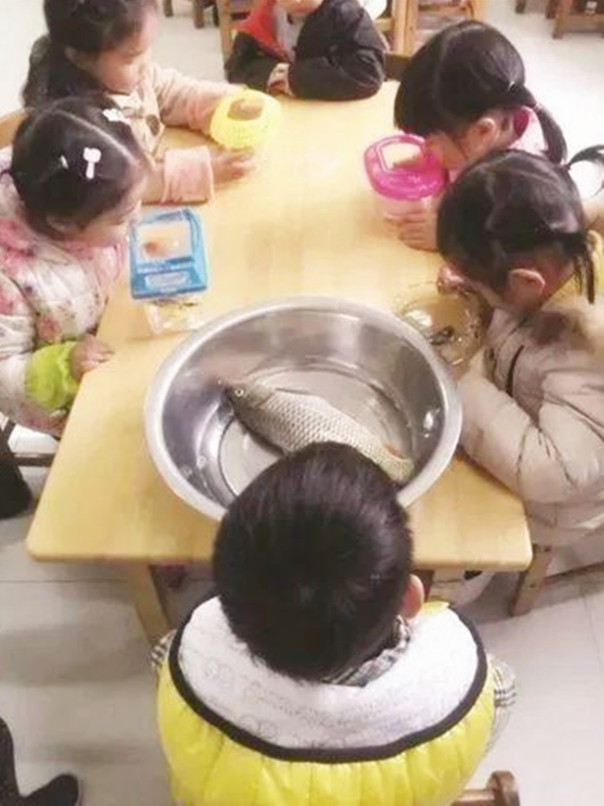 “妈妈，老师让明天带水壶去学校”幼儿园乌龙事件，笑出眼泪