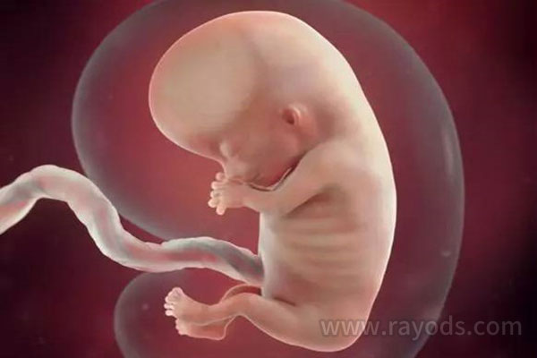 「惊」怀孕1一40周真人过程图