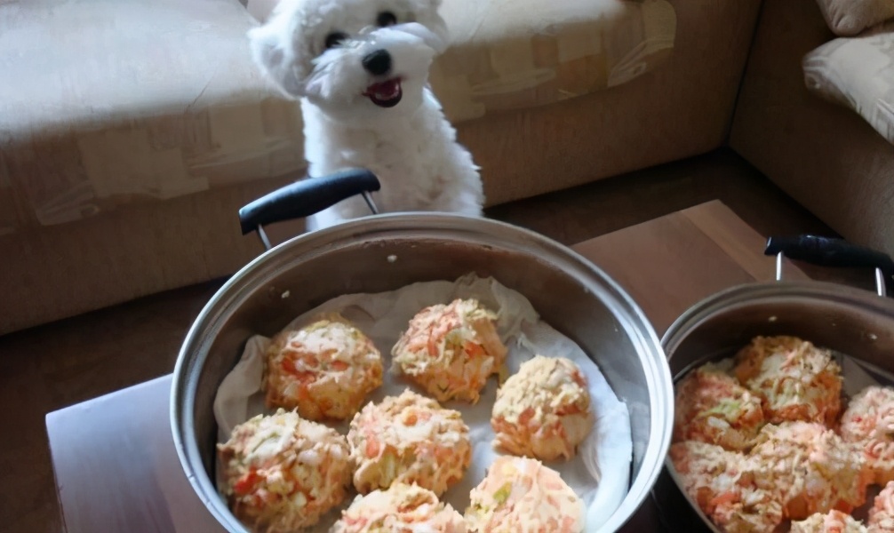 狗吃什么好（带你了解十种狗能吃的人类食物）