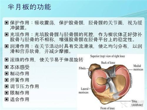 韦德在nba留下了哪些成就(摘掉一个半月板的韦德，为何职业生涯还会如此成功？)