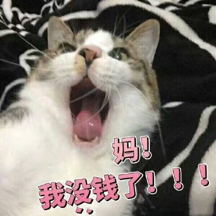 女孩哭穷表情包:别人都是用香奈儿包LV包宝格丽包,而我用表情包