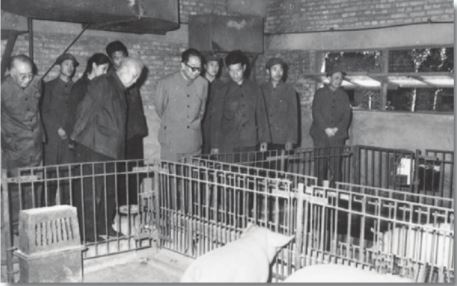 意外收到一封“意见信”，华国锋回复：破除个人迷信请从我开始