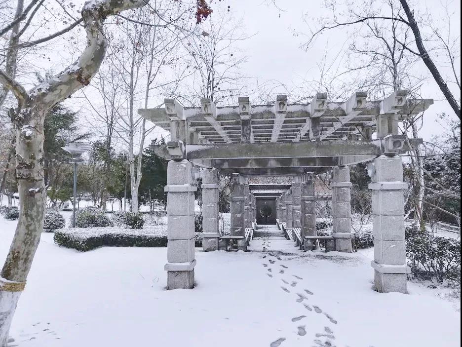 高清曝光！坐拥神仙颜值，山东最美“校花”就在这所大学里！