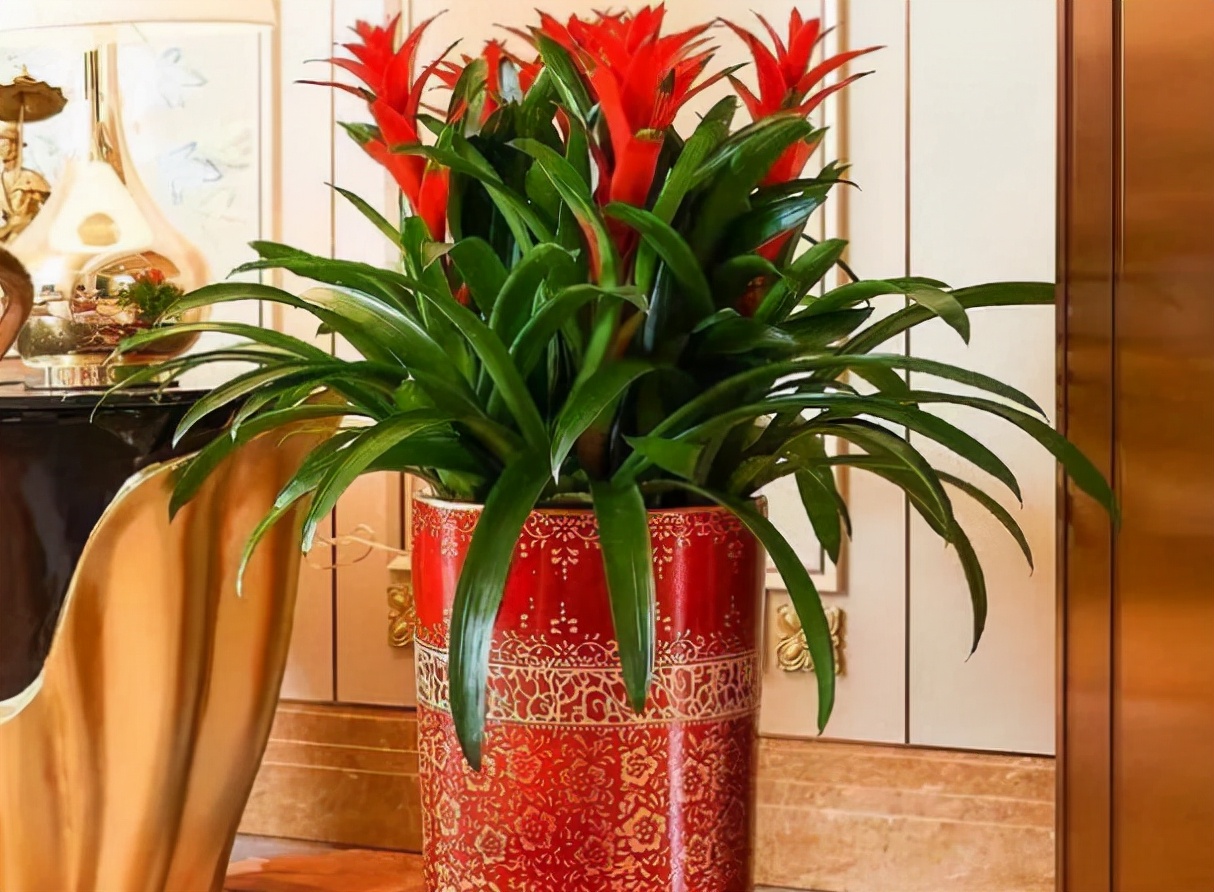 化煞的作用,因而有本命年穿红避邪躲灾的说法,既然红色象征喜庆,吉祥