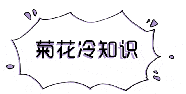 急匆匆地跑向厕所，但总是解不出大便，在医学是什么梗？