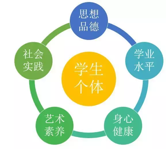 「新高考政策」什么是综合素质评价？