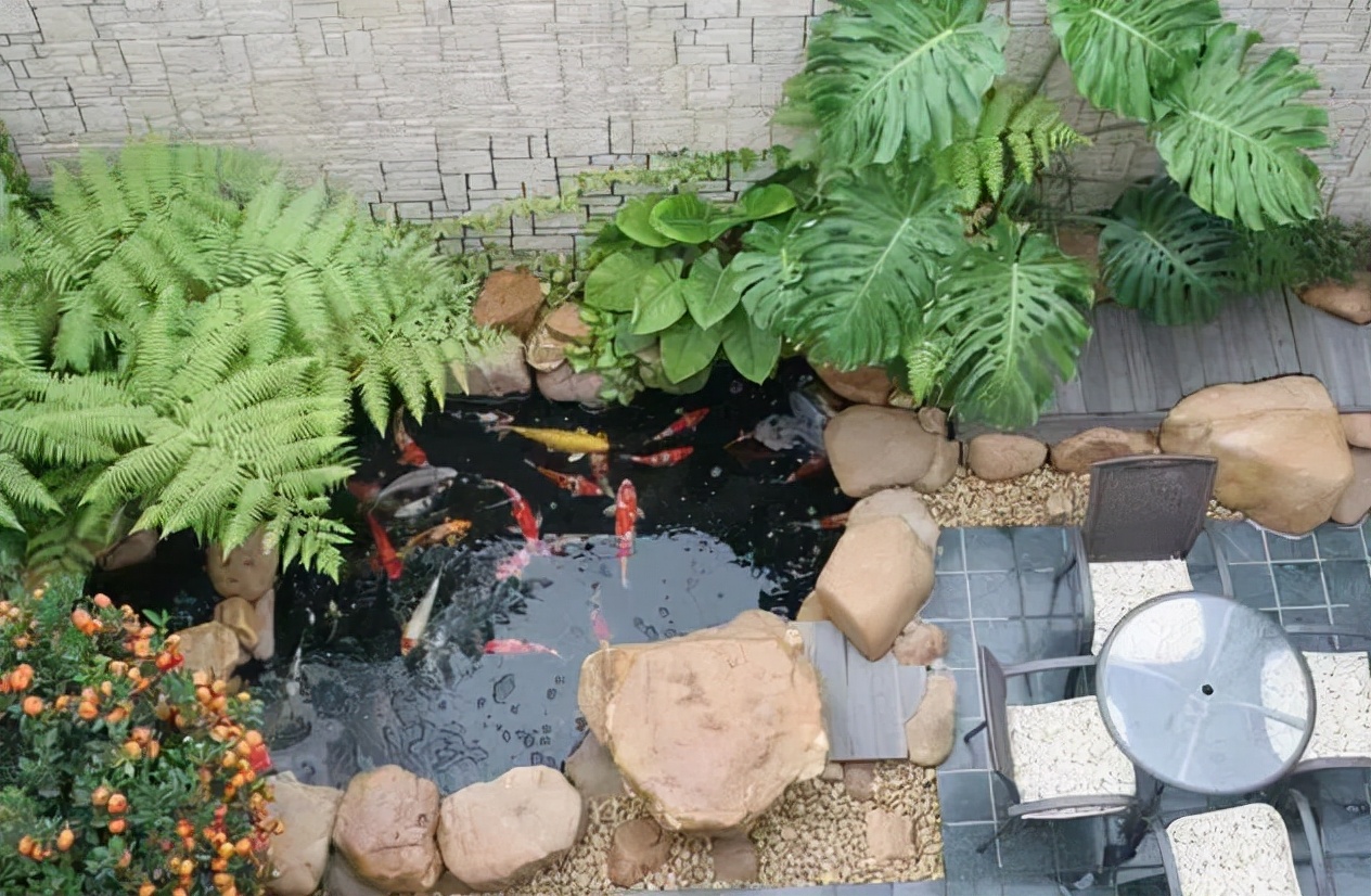 鱼池里的中国红，这样的庭院是不是爱了