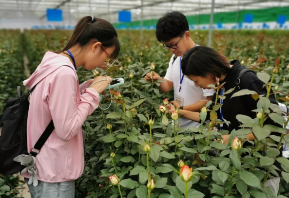 北京3所“袖珍大学”，真正浓缩的才是精华，有没有你的理想学府