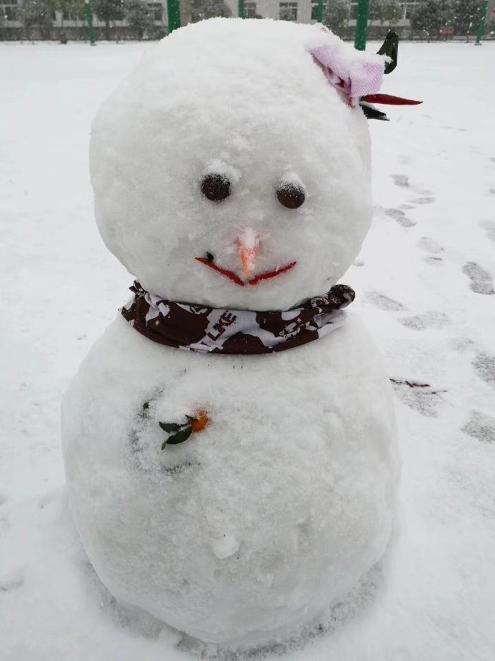 解读《十宗罪》:"肢体雪人案"