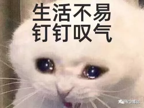 “求求爸爸们放过我吧”钉钉这波操作太牛了
