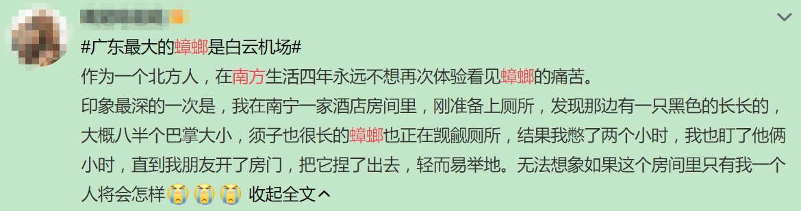 广州一大厦“两眼发光”似蟑螂，北方网友吓坏:南方蟑螂这么大?