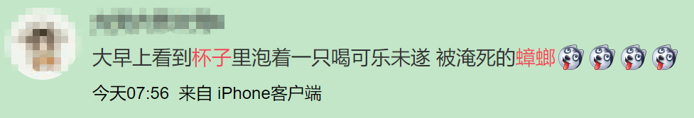 广州一大厦“两眼发光”似蟑螂，北方网友吓坏:南方蟑螂这么大?