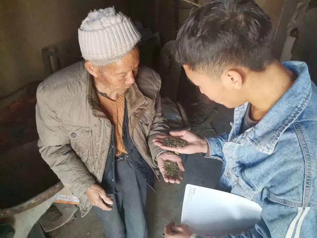 看！来自四川农业大学的志愿服务项目