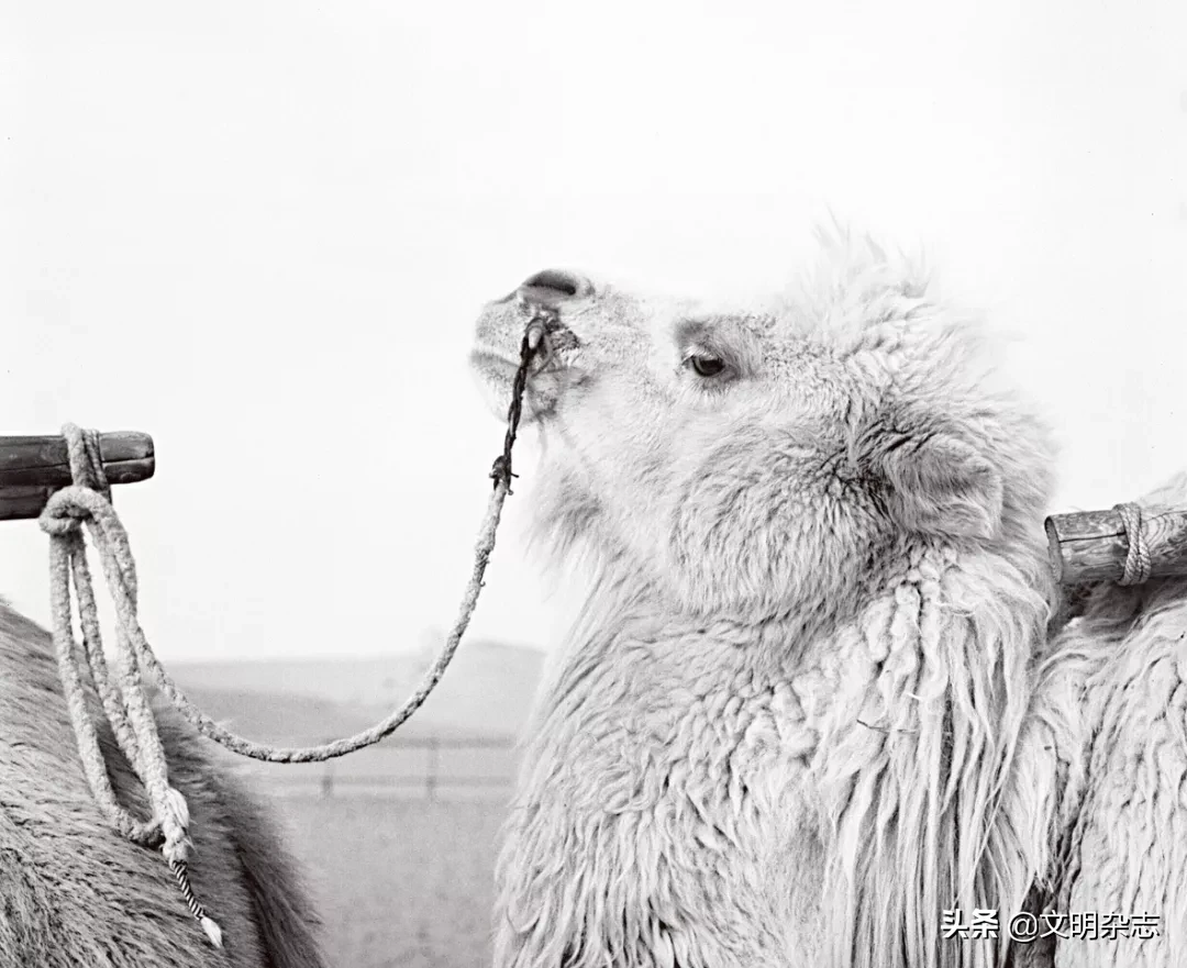 车过删丹：与长城为邻